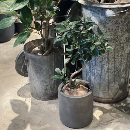 garage TOKYO | 観葉植物 鉢セット | NEW PORT | ニューポート | 商業