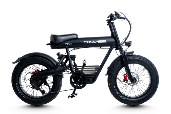 COSWHEEL MIRAI COMFORT COSWHEEL(コスウェル) e-bike(イーバイク) 20