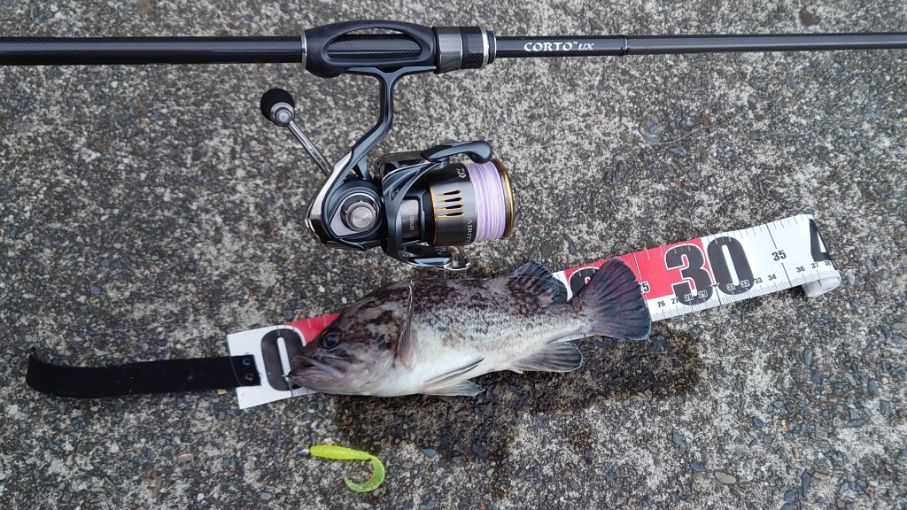 オリムピック 23 コルトUX 23GCORUS-7102ML-HS コルト(オリムピック