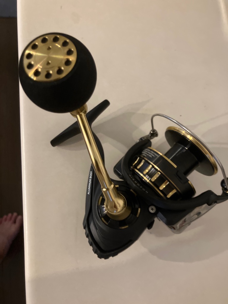 DAIWA（釣り） 23 BG SW 6000D-P スピニングリール - 最安値・価格比較