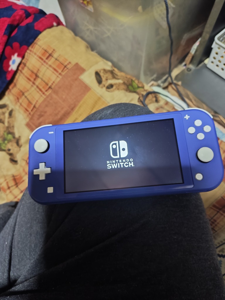 Nintendo Switch 任天堂 Lite ニンテンドースイッチ ライト ターコイズ