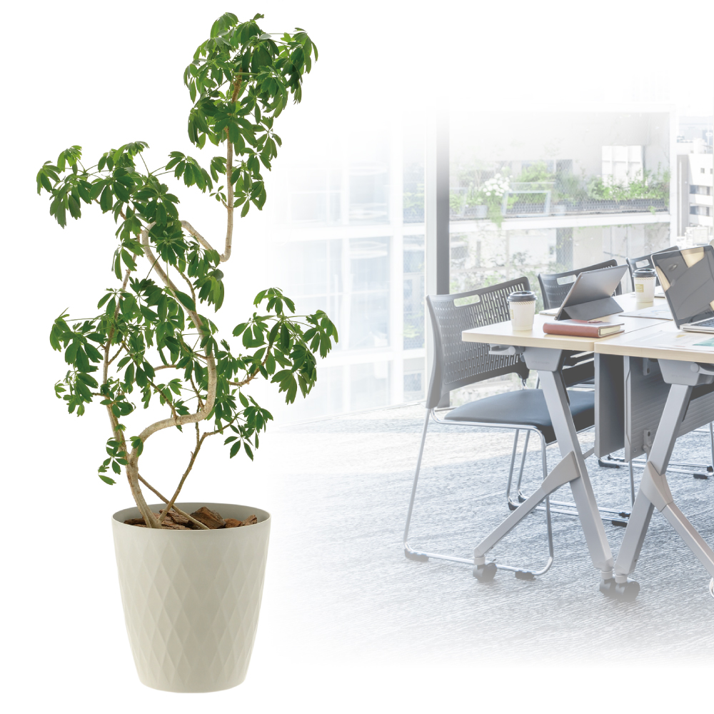 ラピス ポットカバー 10 | リッチェル公式ウェブショップ