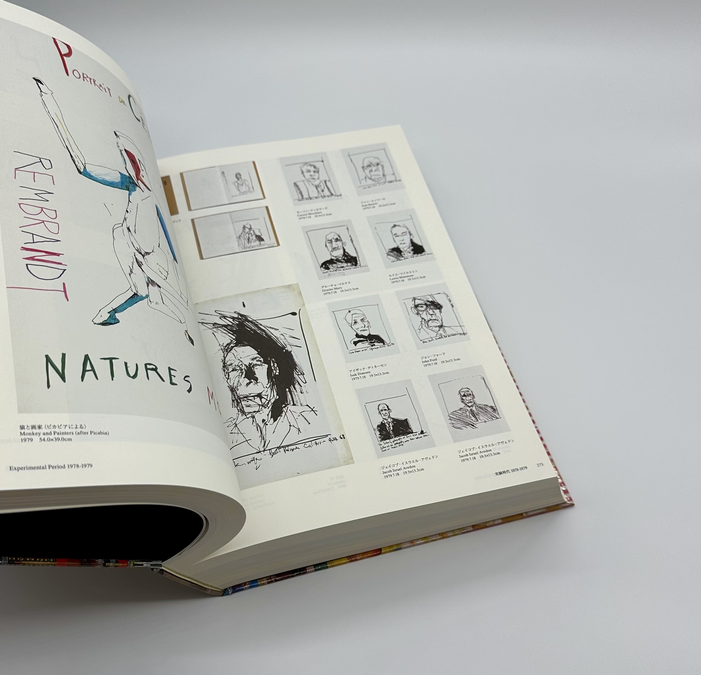 大竹伸朗 全景 - りーちあーと