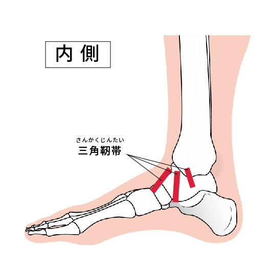 足首の捻挫（ねんざ）～歩行に支障がある場合は病院を受診しましょう