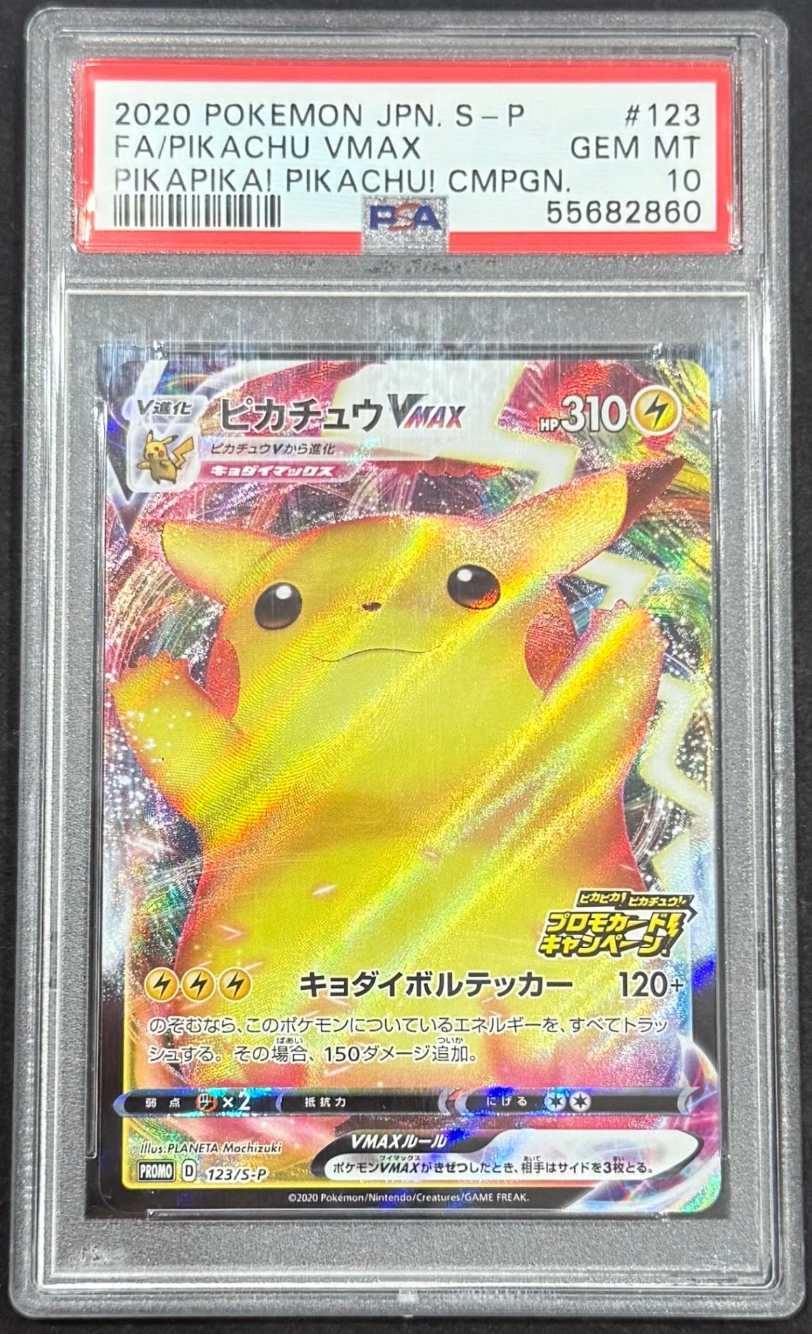 PSA10】連番 そらをとぶ なみのり ピカチュウv 25th 最高評価PSA10