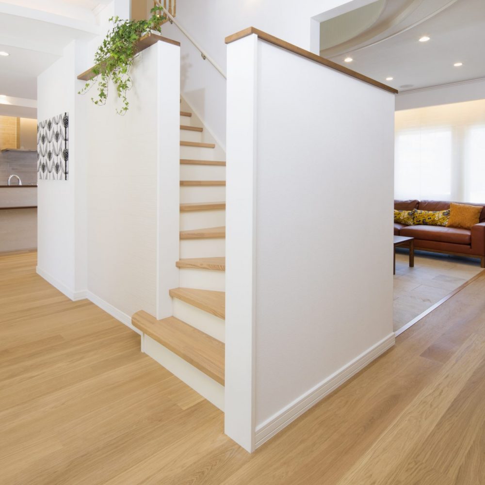 OAEOP-Sweden-House-Ichikawa-