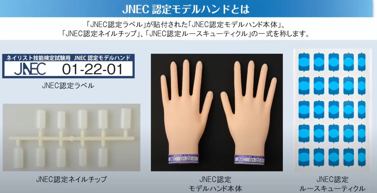 2026 年2月 | ネイリスト検定でモデルハンドの使用が可能に！注意点や