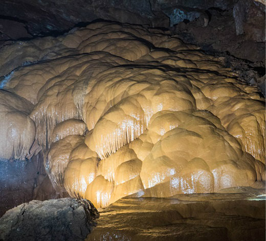 観察法のイロハのイ 自然がつくった神秘の空間鍾乳洞 | Science Portal