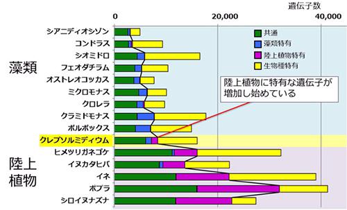 藻類から陸上植物への遺伝子進化示す | Science Portal - 科学技術の