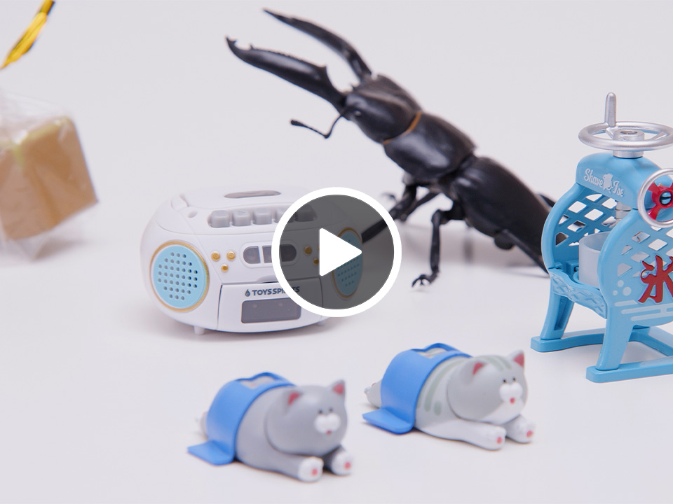 ともにキヅク社会 | サイエンスティーム 探究でつながる学びと科学