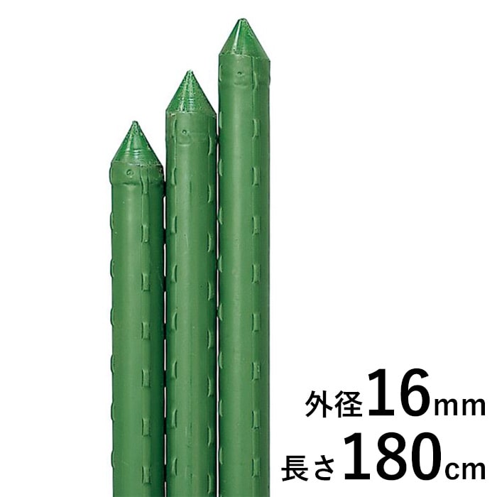 園芸用イボ竹｜種（タネ）,球根,苗,資材,ガーデニンググッズの通販は