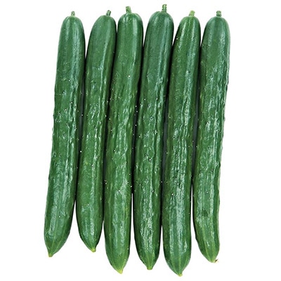 キュウリの検索結果｜種（タネ）,球根,苗,資材,ガーデニンググッズの