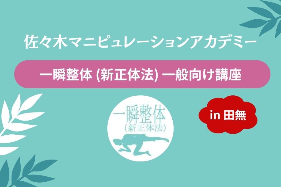 3/15（日）一瞬整体（新正体法）【初・中級コース】 | 小金井市の整体