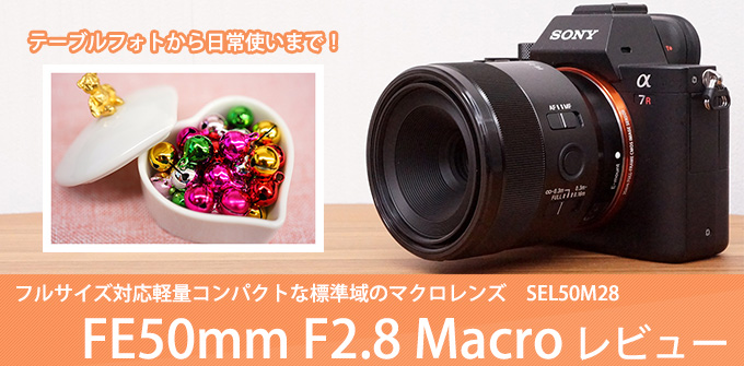 SEL50M28 レンズレビュー 作例付き・実機で解説！｜ソニーショップさとうち