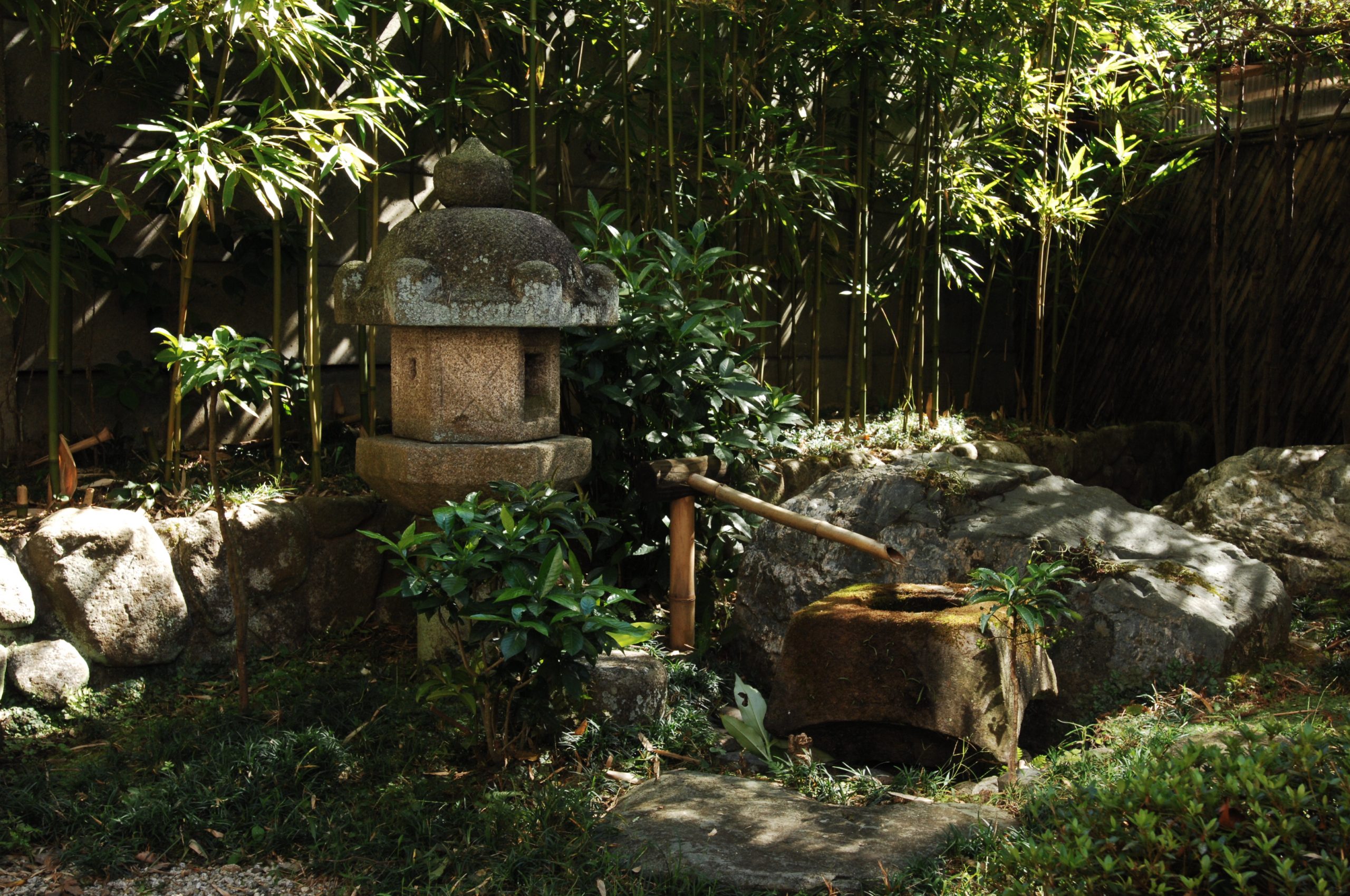 木炭 – (株)泉山園