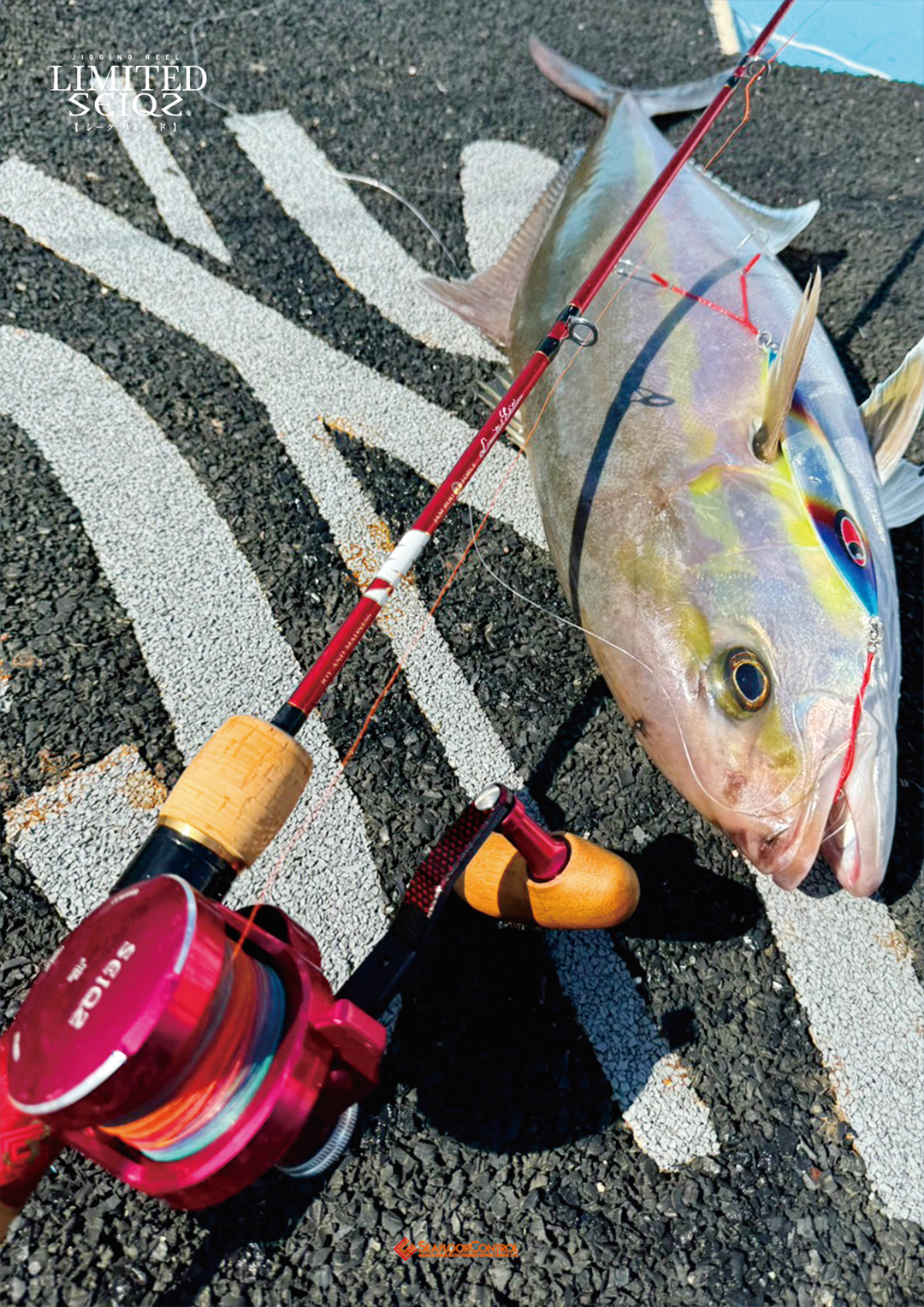 深紅に輝く圧倒的存在感【 SEIQZ LTD MODEL -シークリミテッドモデル