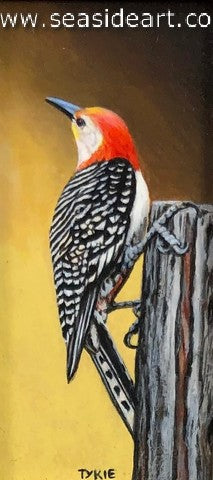 Red-headed Woodpecker - Seaside Art Gallery