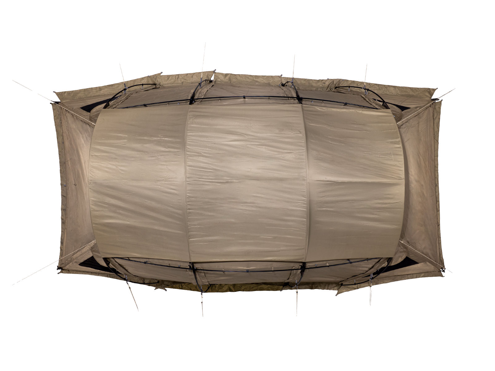 アルニカ ルーフシート - 地球の、道具。サバティカル。 オフィシャル