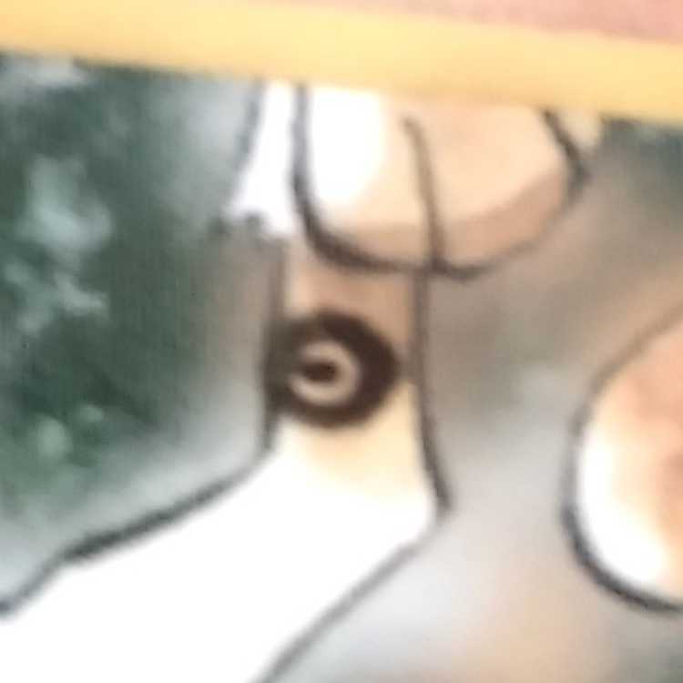 旧裏 ポケモンカード インク跳ねエラー タケシのマンキー コロコロ