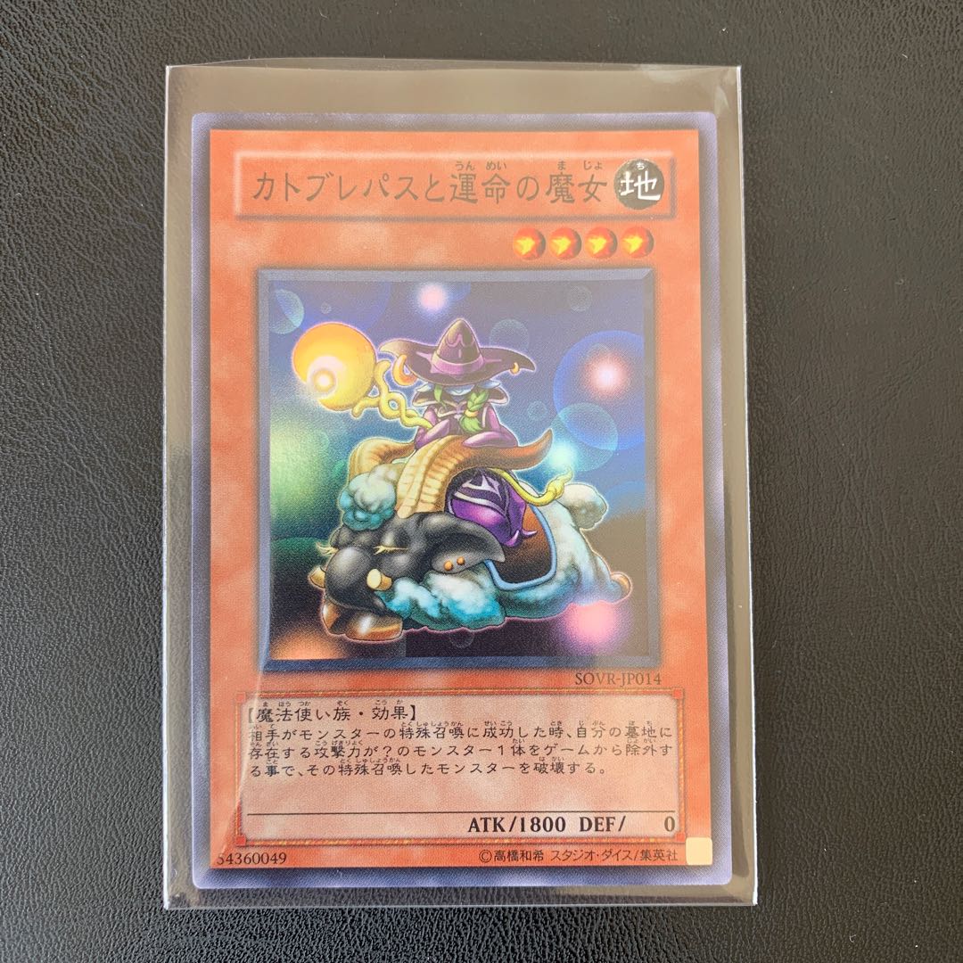 カトブレパスと運命の魔女 スーパー 2枚 1枚の通販 lytan（292828940