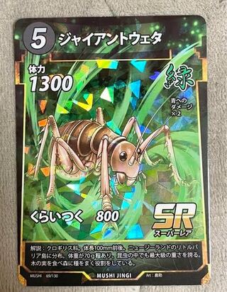 蟲神器のカード販売・通販 | magi