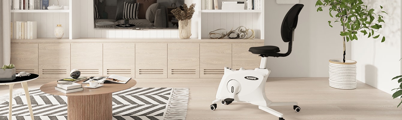 フィットネスバイク Sit2Go FC211 | FlexiSpot 公式ストア