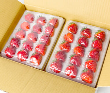 新潟直送計画】SUMI・CO（漆器皿）- 鈴木漆器店