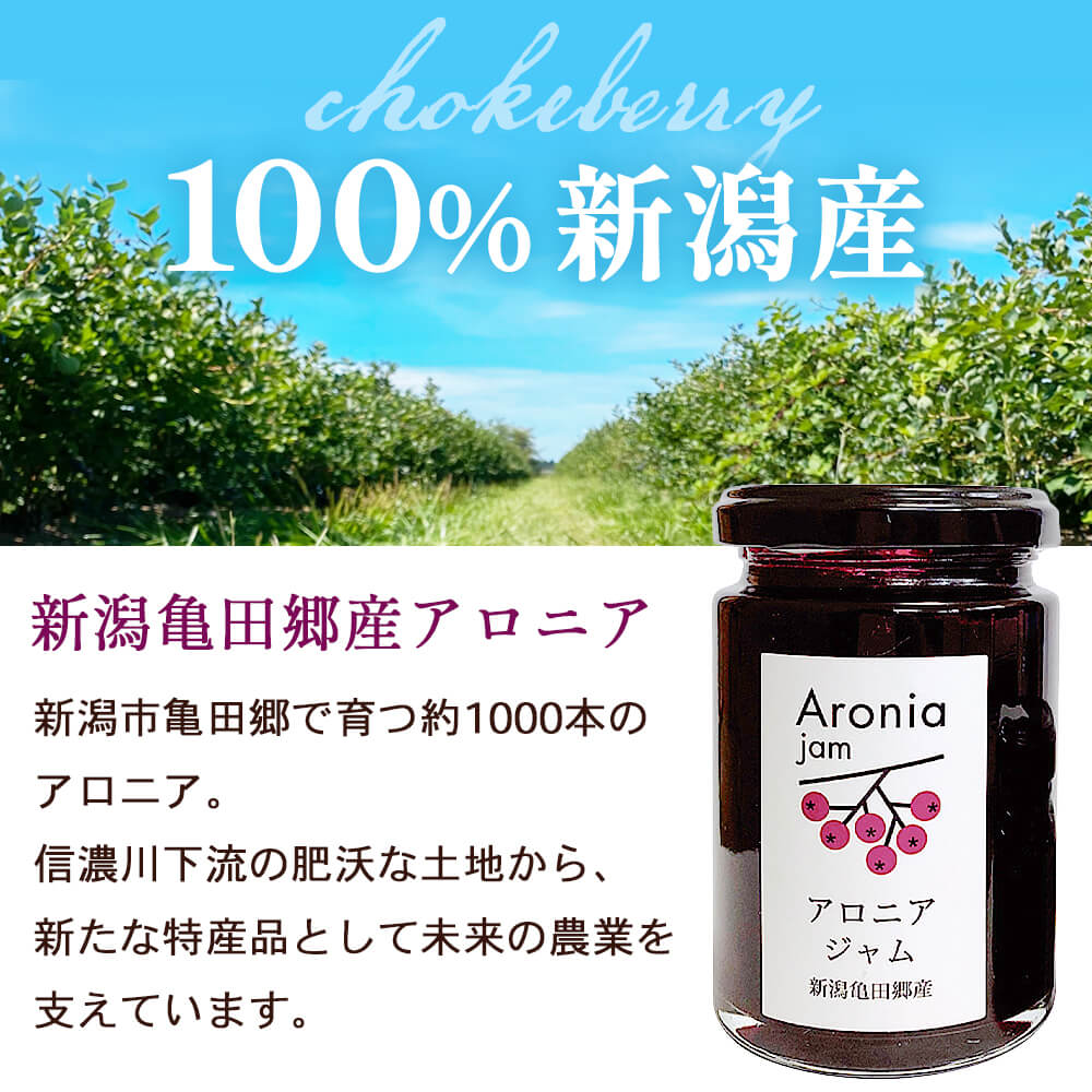アロニアジャム 140g×1個 – 新潟産地直送 小竹食品 オンラインショップ