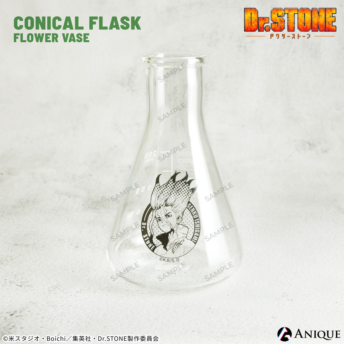 dcst_base-1_1200x.jpg?v=1691374477