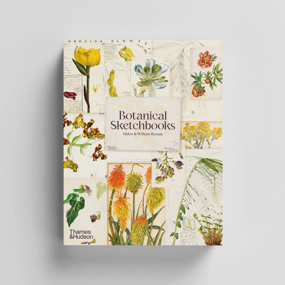 Botanical Sketchbooks | Thames & Hudson | Botanical Drawing