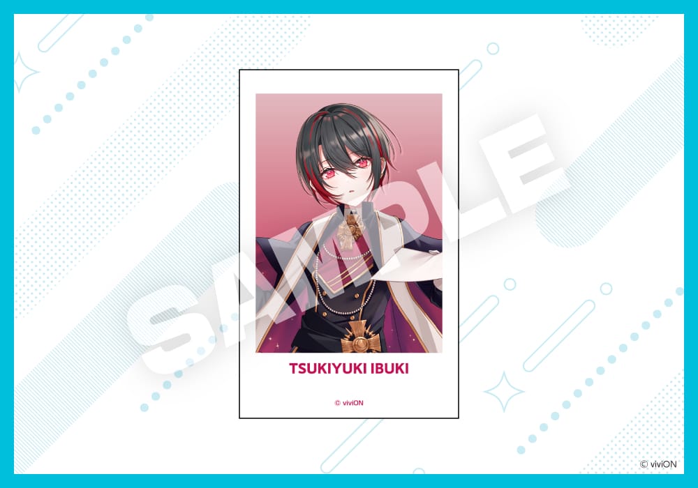 限定品】【コンセプトカフェグッズ】トレーディングチェキ風カード（全