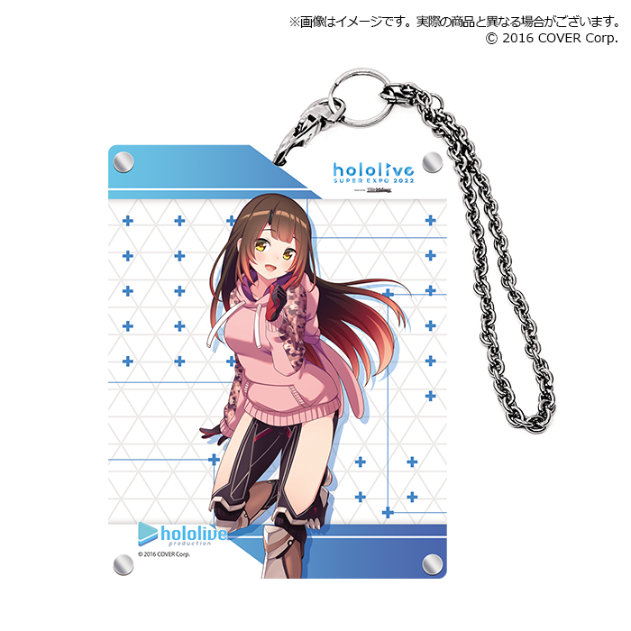ブシロード アクリルカードホルダーコレクション エクストラ
