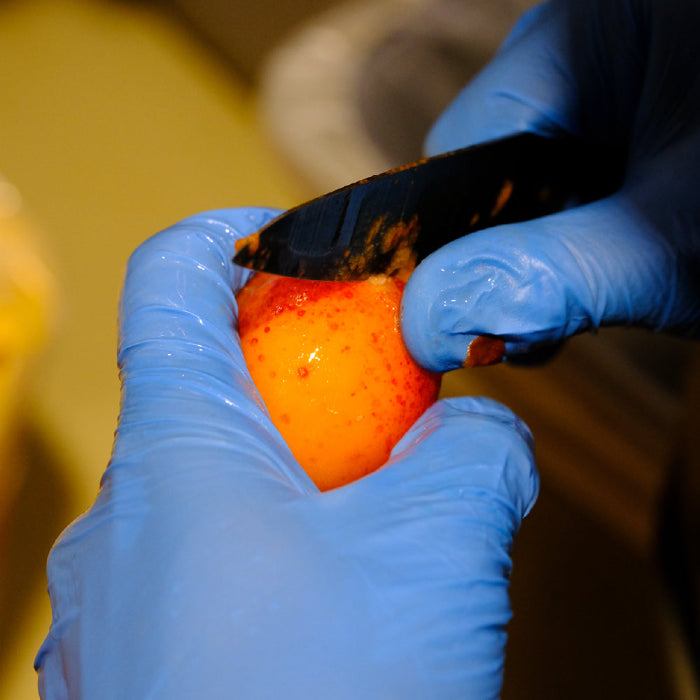 APRICOT ALE」壱岐産の杏を使用した爽やかな酸味のフルーツビール