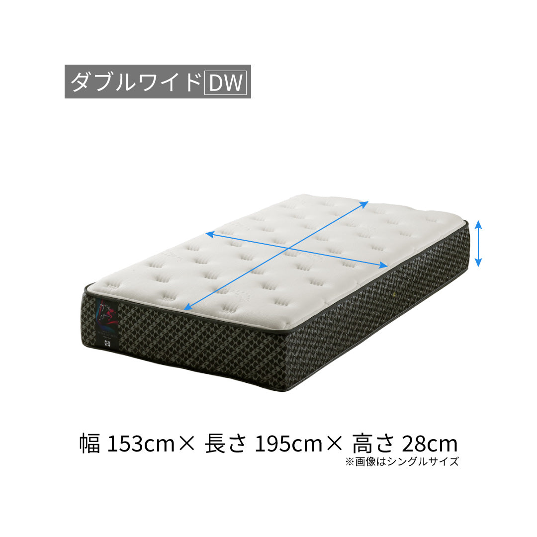 シーリースポーツ スピードマッスル – シーリー公式 SLEEP SELECT