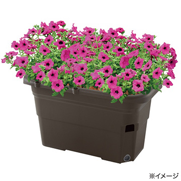 プランター・鉢｜タキイネット通販【公式】