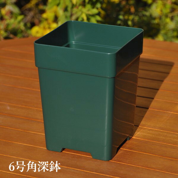 楽天市場】バラの家 8号深鉢 バラ向き ZIK-10000 : バラの家 【バラ苗