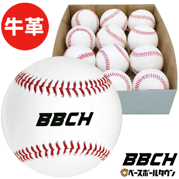 楽天市場】野球 サインボール 硬式球デザイン 1ダース(12個)売り 個