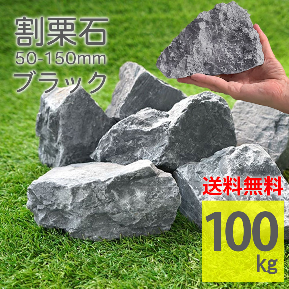 楽天市場】庭石 ブラック ラフ 50〜150mm 20kg ダークグレー 岩 灰色