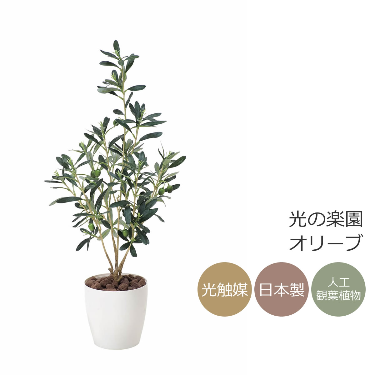 楽天市場】光触媒 光の楽園 トネリコ 1.2m【インテリア フェイク