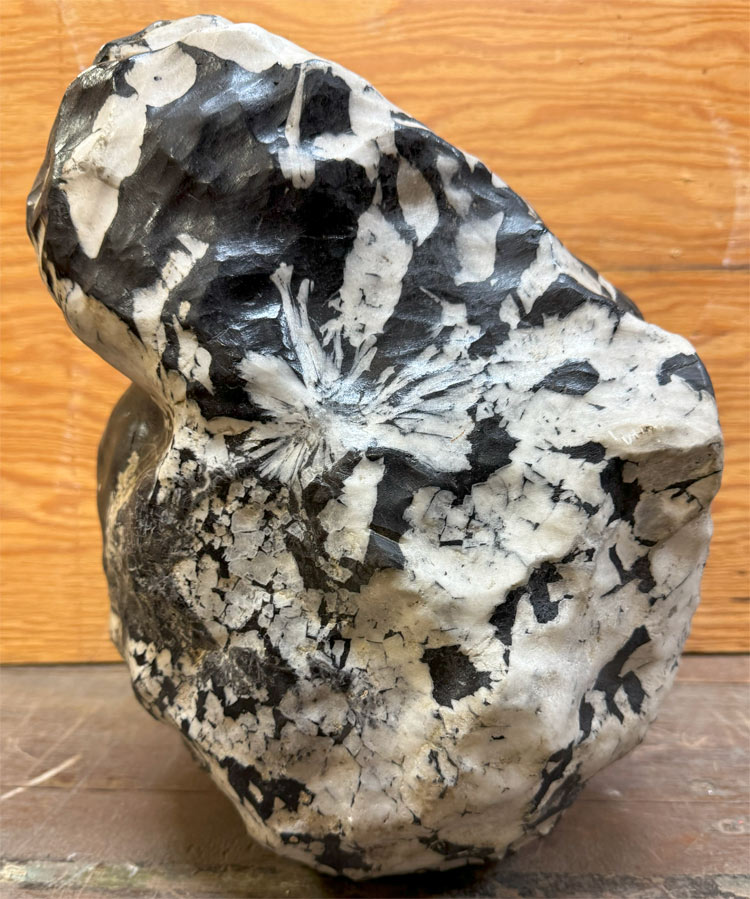 楽天市場】菊花石 【42】台付き 高さ約68cm 鑑賞石 盆石 景石 飾り石