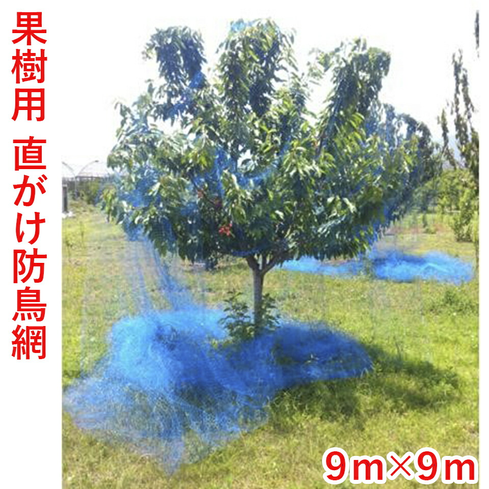 imgrc0087613899.jpg