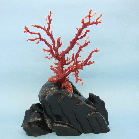 楽天市場】ピンク珊瑚 拝見 置物 原木 宝石サンゴ 珊瑚婚 還暦 誕生日