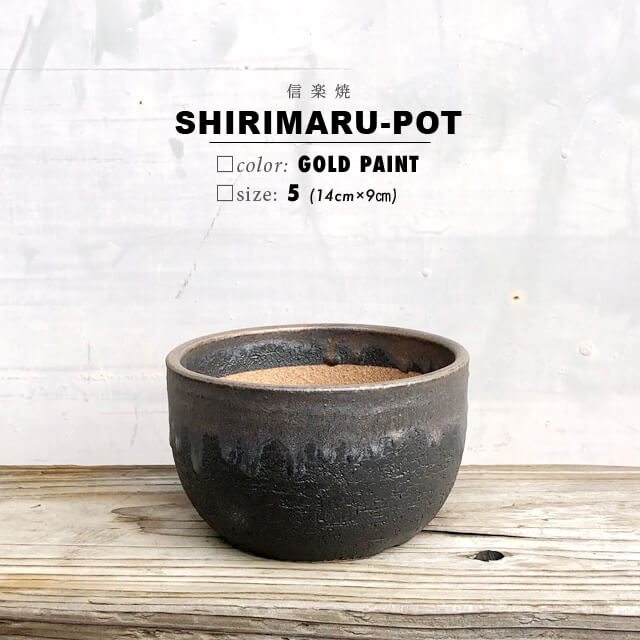 楽天市場】KAMIYAMA -OMOTO- POT【金彩 6.5号】19.5cm×17.5cm かみ山
