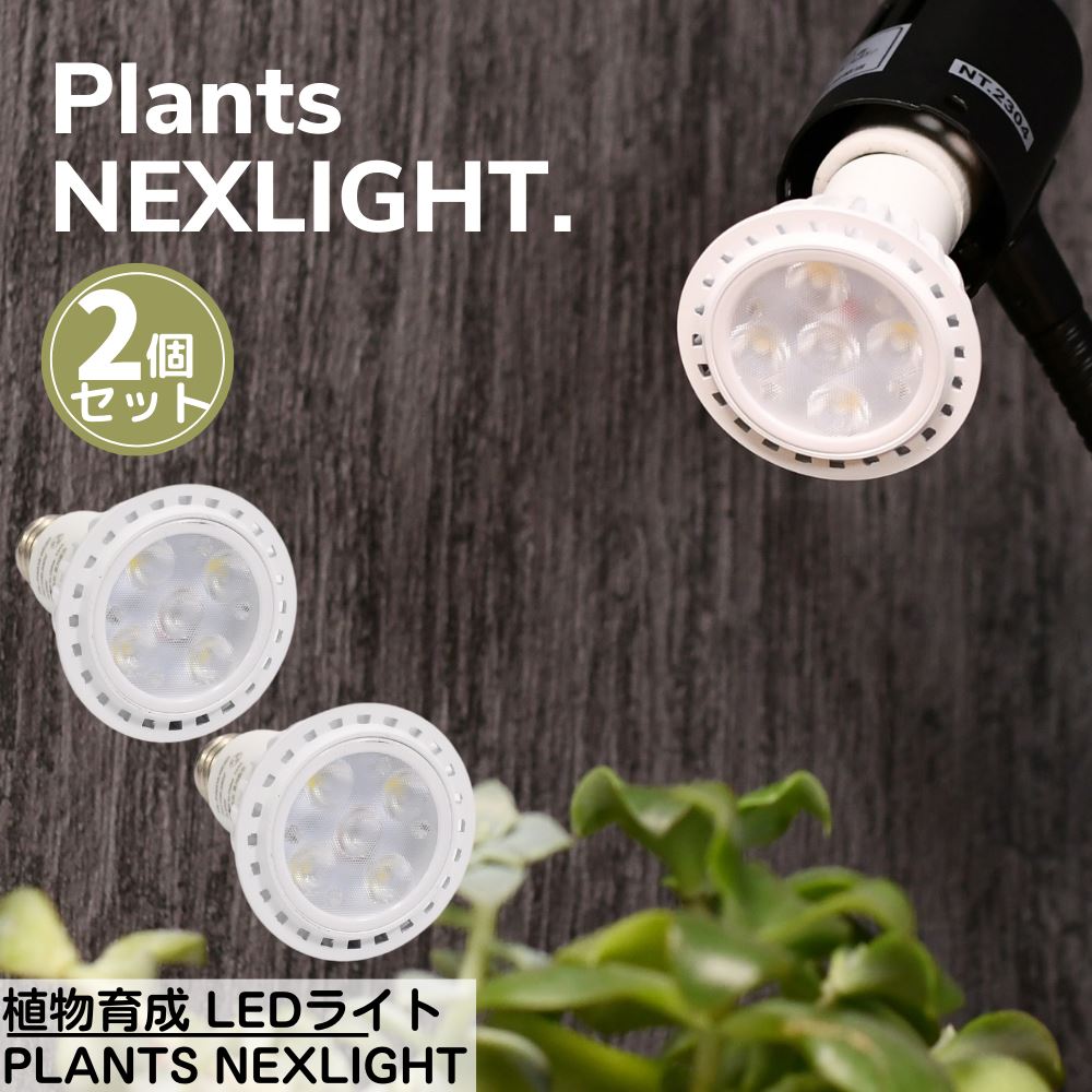 楽天市場】【植物の事だけを考えたライト】 植物専用 LEDライト PLANTS