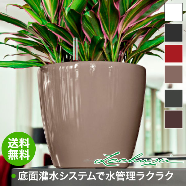 楽天市場】レチューザ プランター LECHUZA クラシコ・ジョーカー43