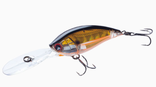 楽天市場】ガラパゴス(Galapagos) グレイス 240F #8 ギャラクシー