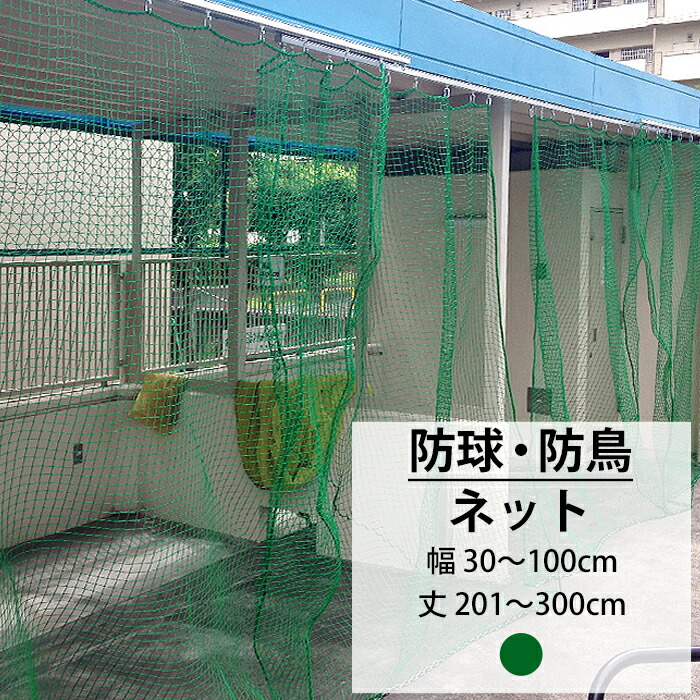 net151x3-kg.jpg