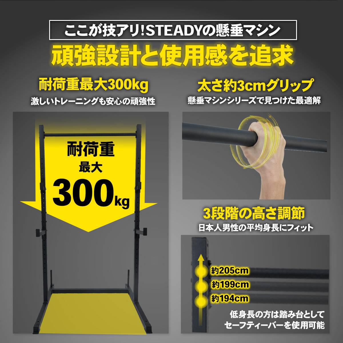 懸垂マシン ラック型 25段階調整 BIG3対応 耐荷重300kg ホームジム 365