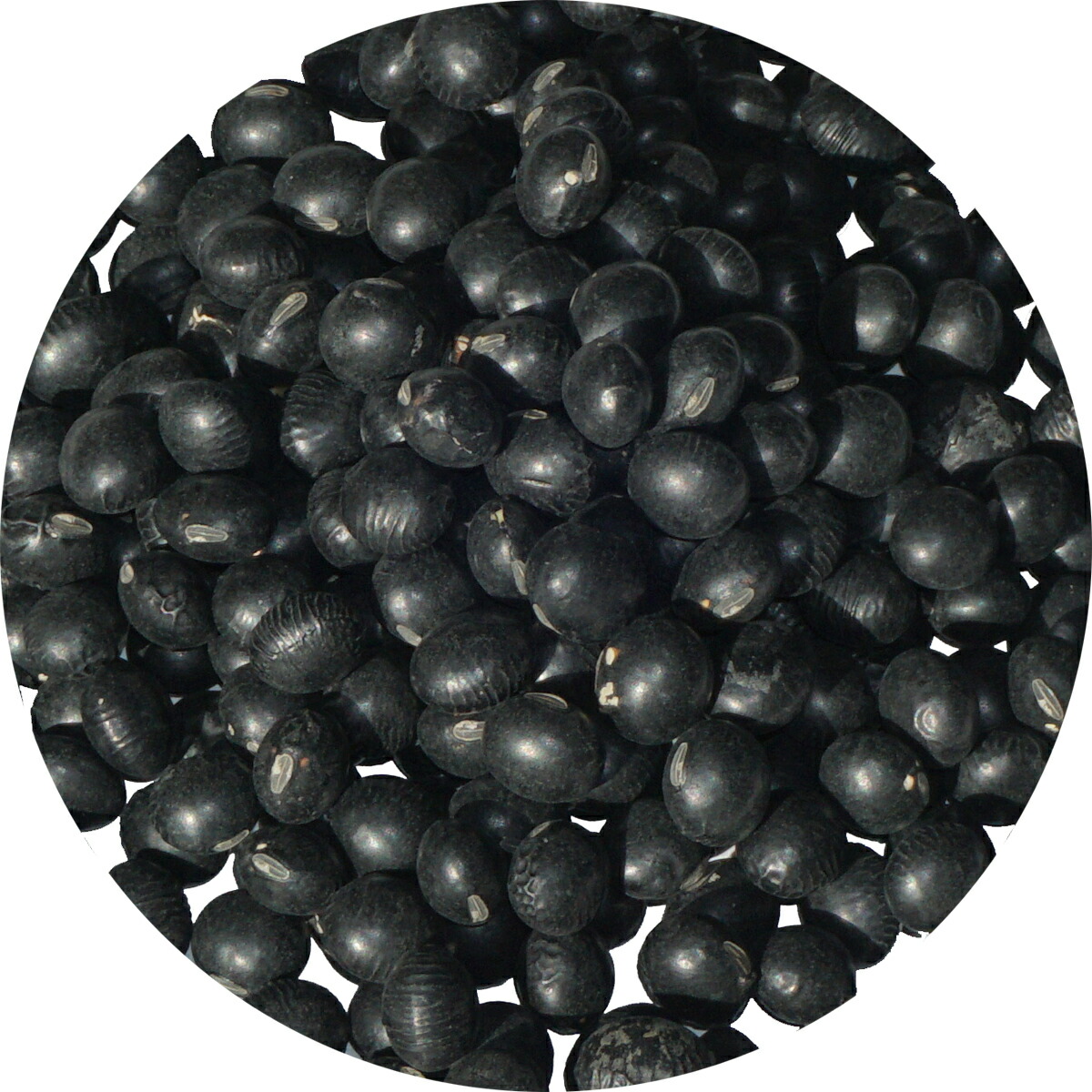 楽天市場】2025年度産 北海道 北斗産 小豆 アメ横 大津屋 azuki bean