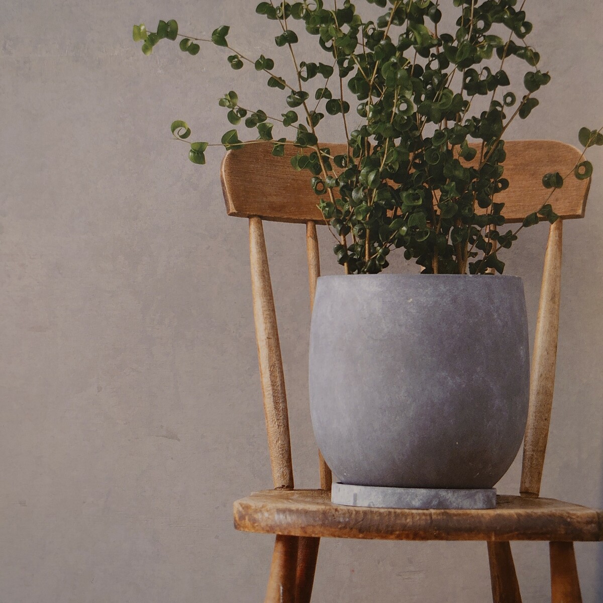 楽天市場】アイルエッグ 26cm 植木鉢 おしゃれ プランター 鉢 グレー